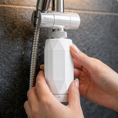 Shower Filter